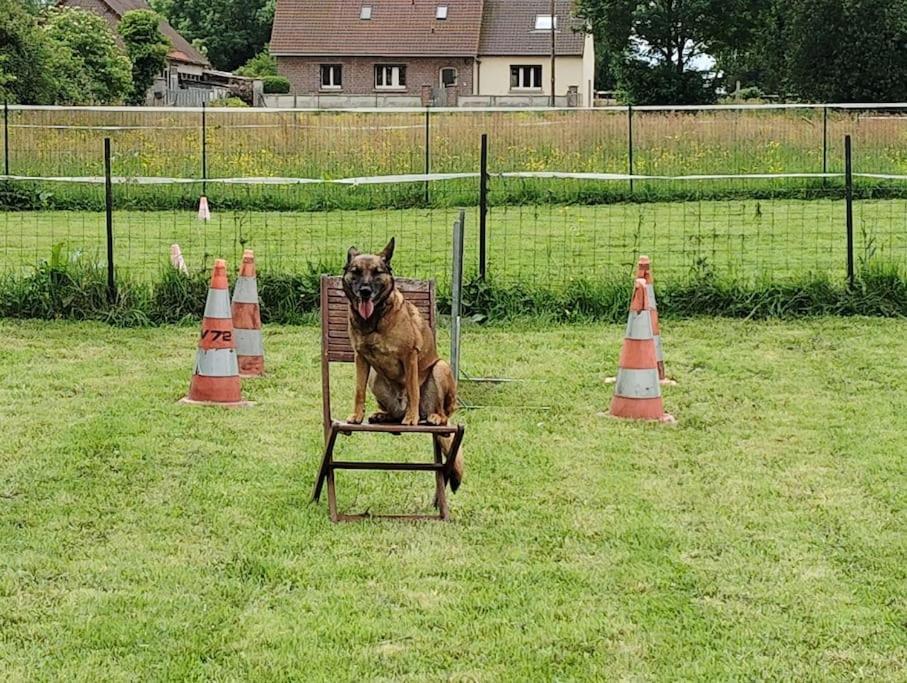 Gite Au Ptit Canin Moyenneville  Kültér fotó